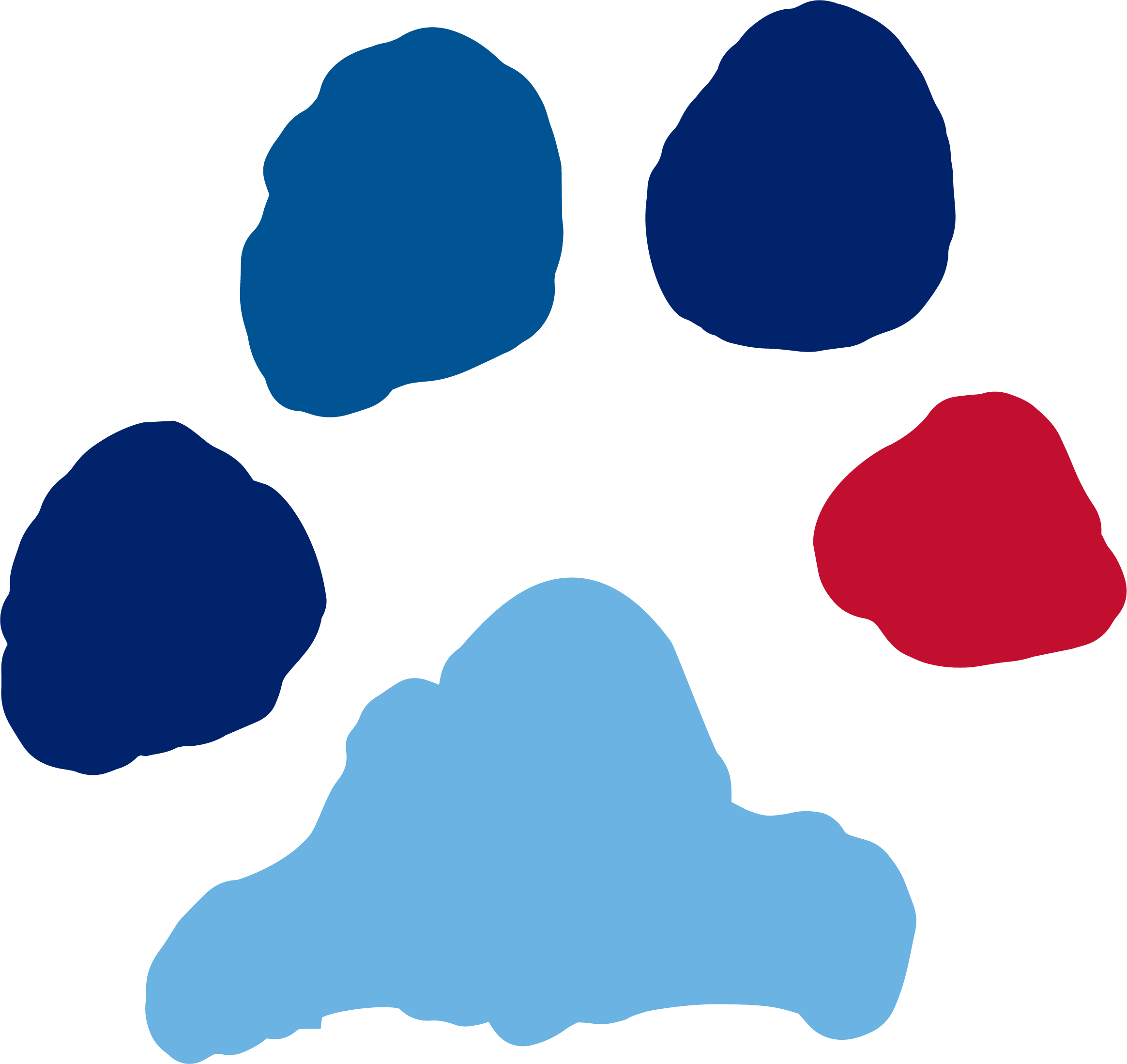 Asset 7@3x - Puppy Jake Foundation