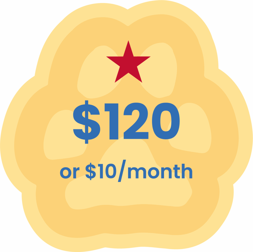 2 - Puppy Jake Foundation 0 or /month