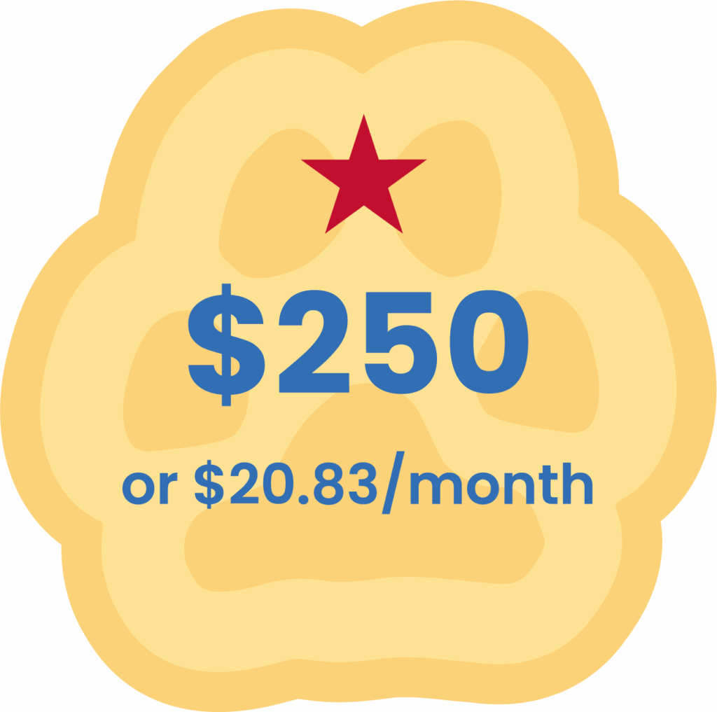 3 - Puppy Jake Foundation 0 or .83/month