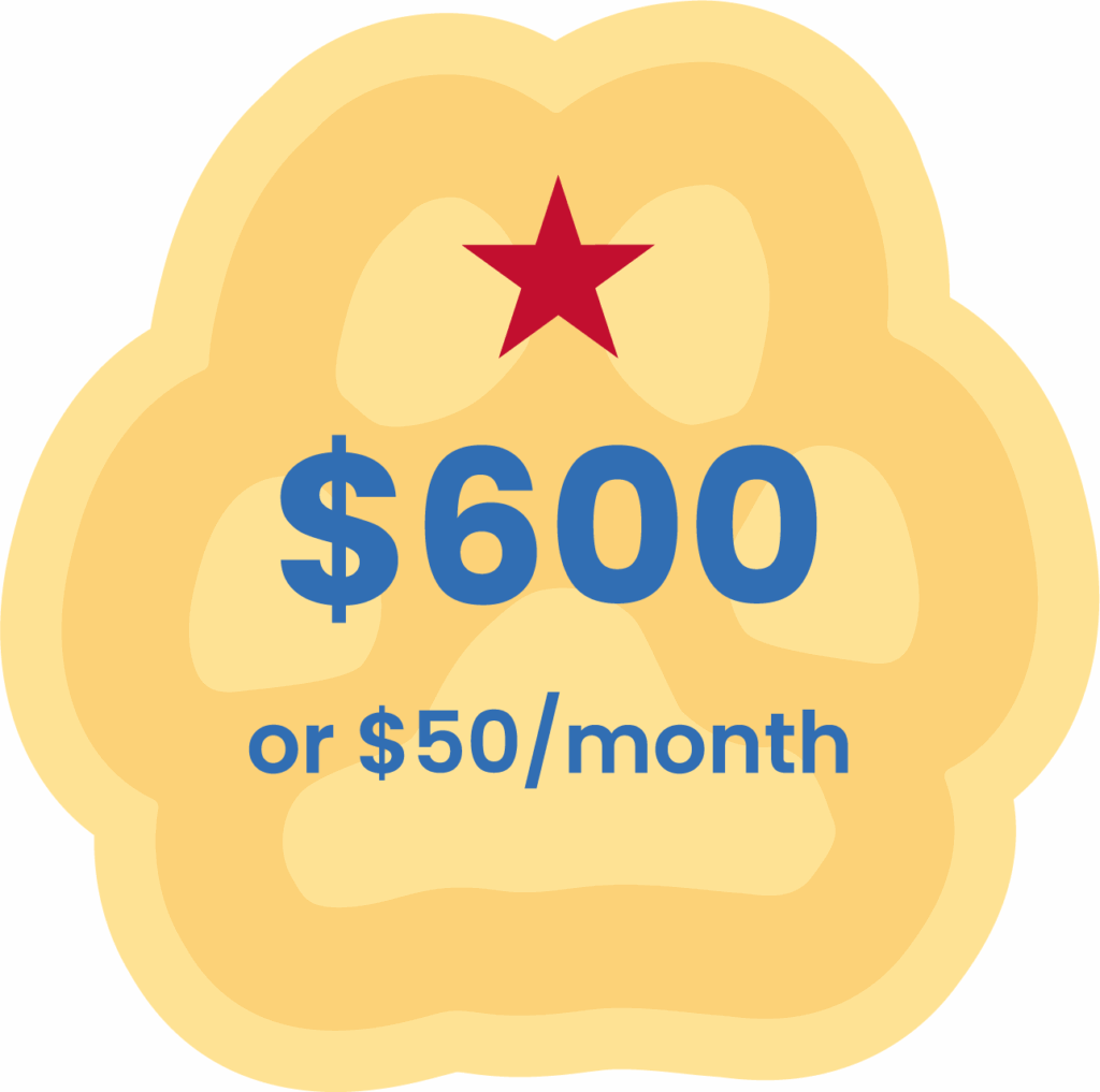 4 - Puppy Jake Foundation 0 or /month