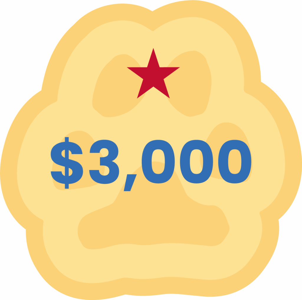 5 - Puppy Jake Foundation 00