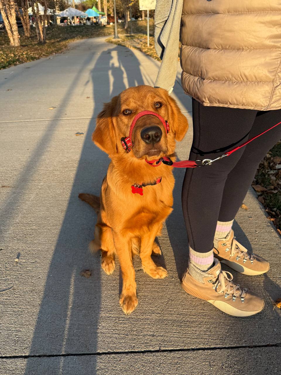 photo_2026-03-30 114544 - Puppy Jake Foundation