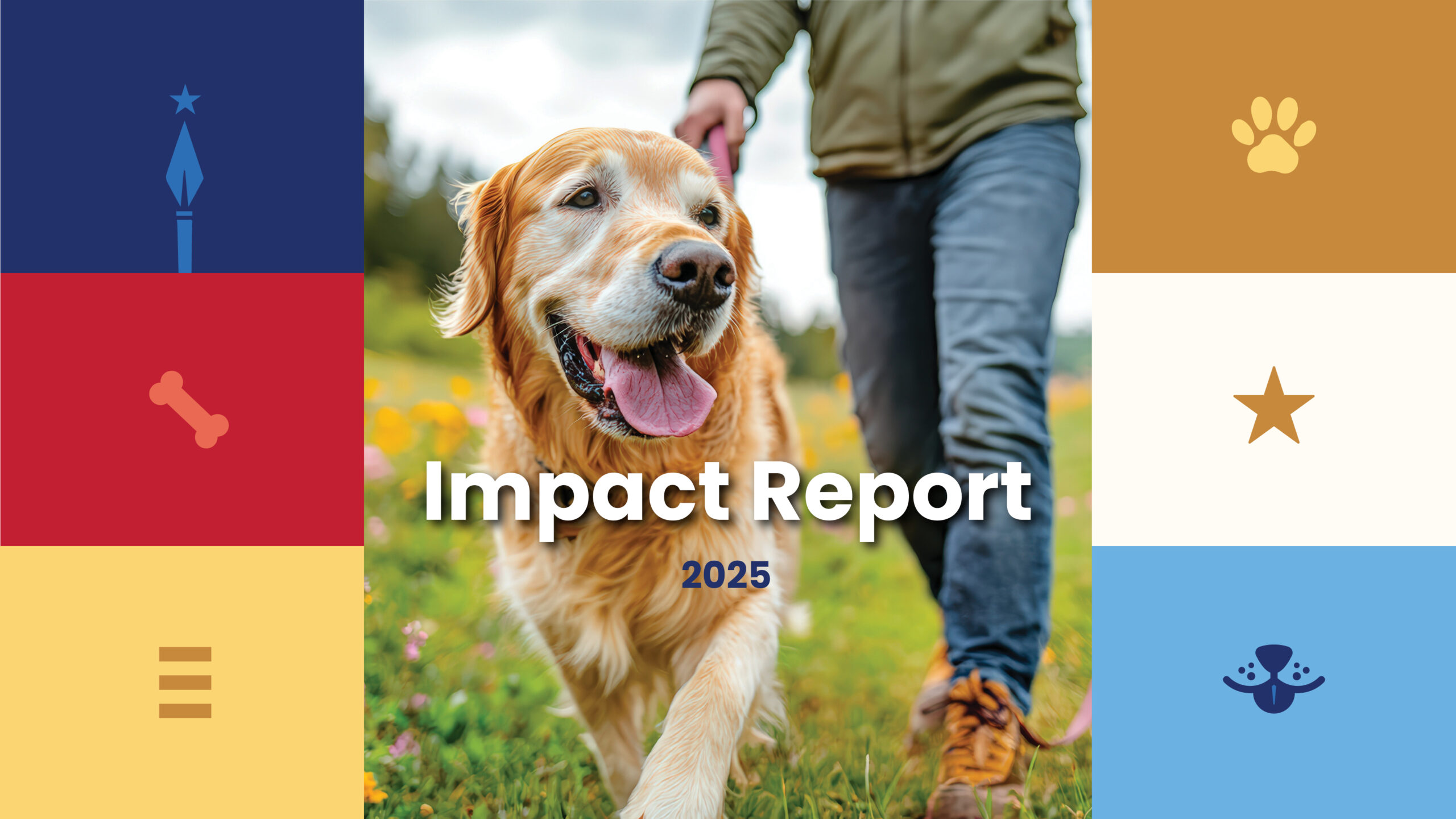 PJF_ImpactReport_web - Puppy Jake Foundation - Puppy Jake Foundation Golden retriever running toward the camera with a person holding its leash in a sunny field, overlaid with 'Impact Report 2025' text.